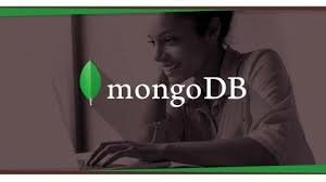 ¿Cómo Funciona Mongo DB?

